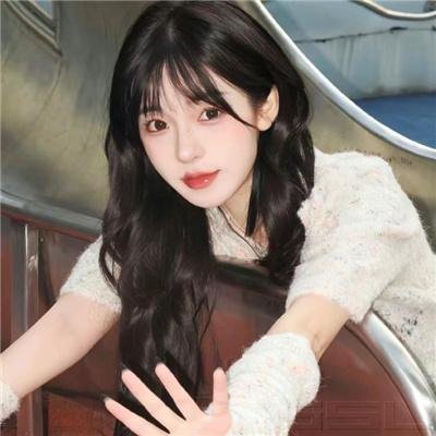 完美的主人